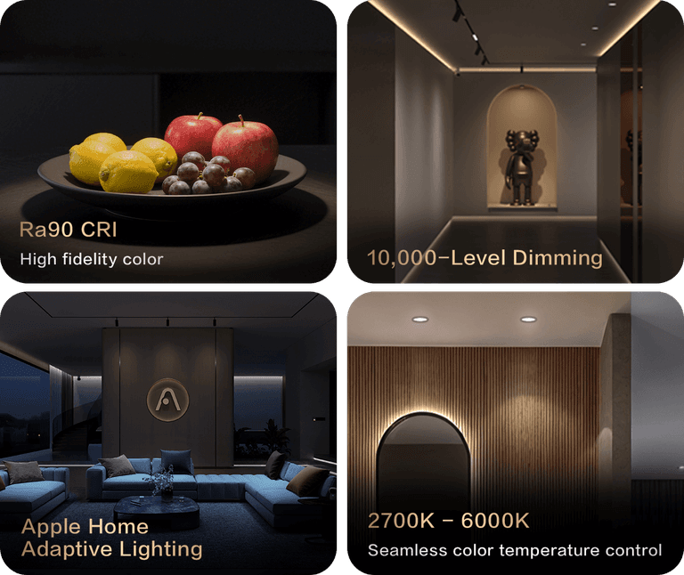 spotlight t2 lite — Hình chính
