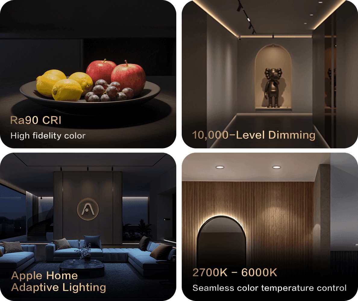 spotlight t2 lite — Hình chính