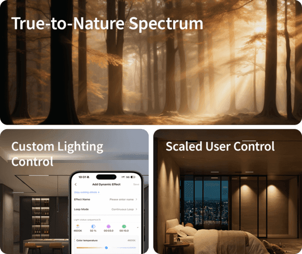 spotlight v1 — Hình chính